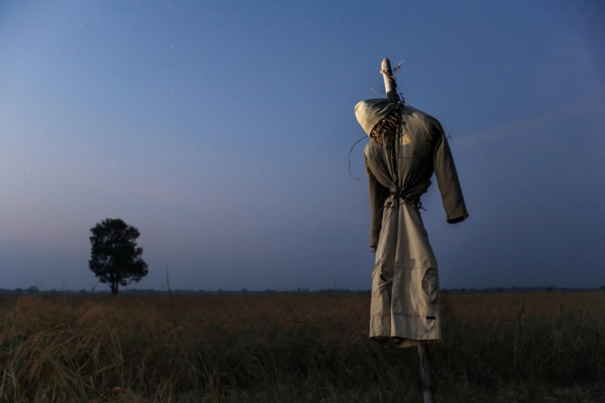 Как не надо защищать дачу: народная смекалка против воров и ее уголовные последствия