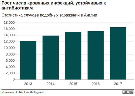 Бактерии устойчивы к антибиотикам. Что делать? Не принимать их Бактерии устойчивы к антибиотикам. Что делать? Не принимать их