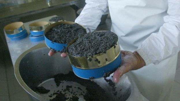 Иран под жесткими санкциями США: выживет ли страна в изоляции от Запада?