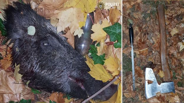 Берлинский пенсионер хотел мяса. Он пошел в лес, забил кабана и попался полиции Берлинский пенсионер хотел мяса. Он пошел в лес, забил кабана и попался полиции