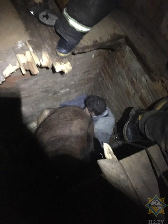 В Полоцком районе на мужчину упала... лошадь