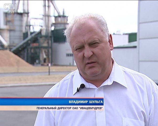 Румас раскритиковал модернизацию деревообработки, но не назвал виновных. Кто же они?