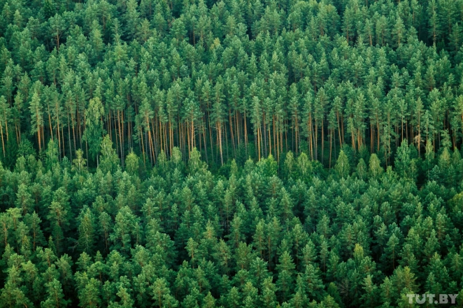 Леонид Заико: "Путину сейчас Лукашенко не нужен"