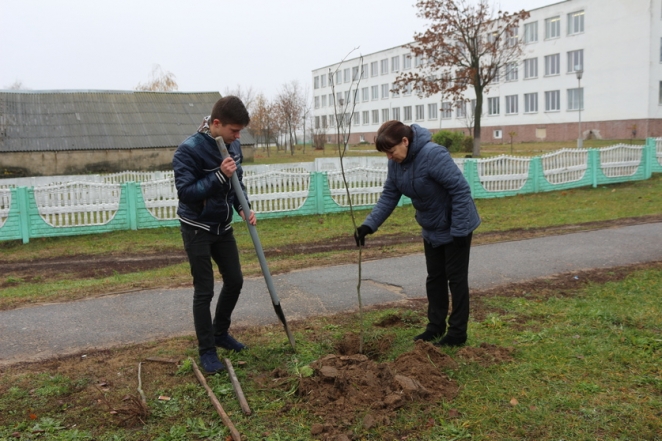 В Рогачеве три школьника взамен сломанных деревьев посадили новые