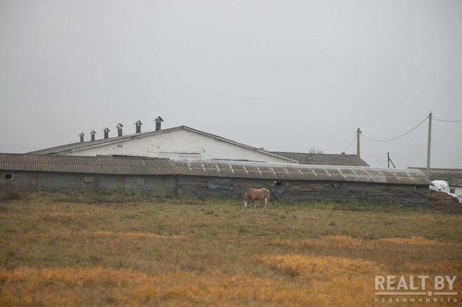 Как выживают Поставы и Шарковщина, где все очень депрессивно