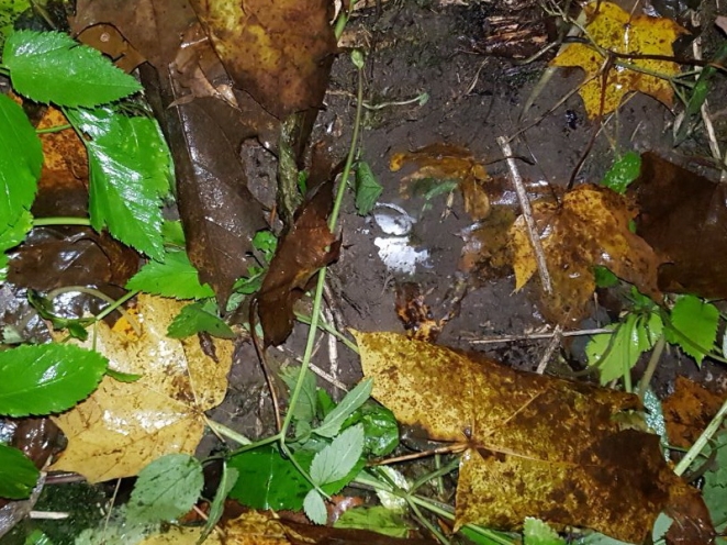 Трое школьников успели за две недели сделать около 200 закладок с наркотиком