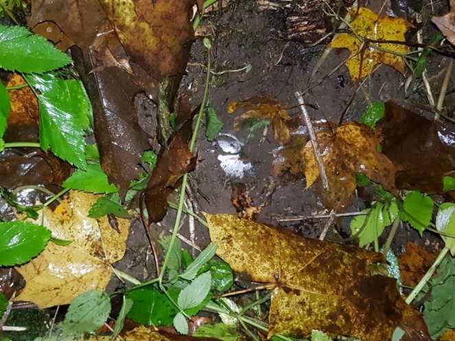 Трое школьников успели за две недели сделать около 200 закладок с наркотиком