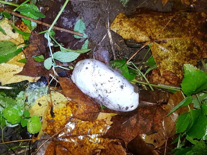 Трое школьников успели за две недели сделать около 200 закладок с наркотиком