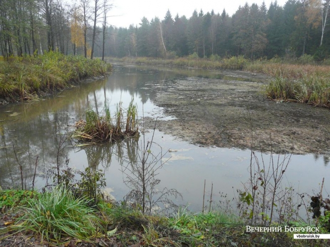Предприниматель, который "слил озеро", не согласен с обвинениями