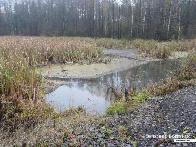 Предприниматель, который "слил озеро", не согласен с обвинениями
