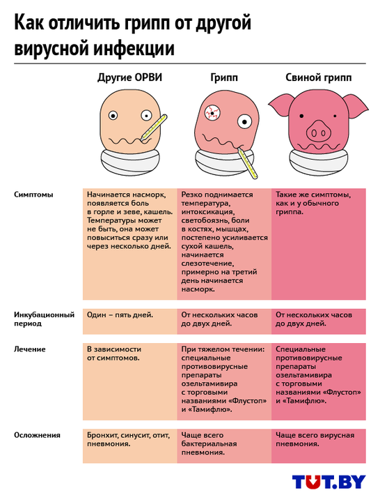 Почему нельзя приходить на работу простуженным 