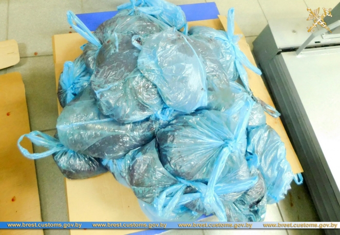 У гражданина Польши в Беларуси изъяли автомобиль