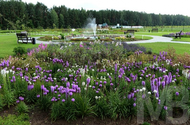 10 фактов о компании "БелАсептика" и ее владельце, попавших под прицел внимания КГБ