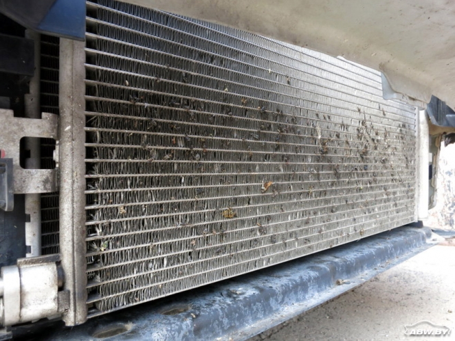 Топ-10 зимних сюрпризов для автомобилистов по версии мастеров