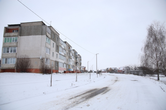 В Ляховичах со стрельбой задерживали директора консервного завода и ее сына