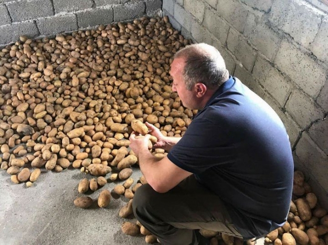 Анекдот почти воплотился в жизнь: 8 фактов о Лукашенко и картошке