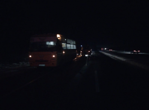 Автобусы с детьми столкнулись под Минском из-за лосей на дороге Автобусы с детьми столкнулись под Минском из-за лосей на дороге