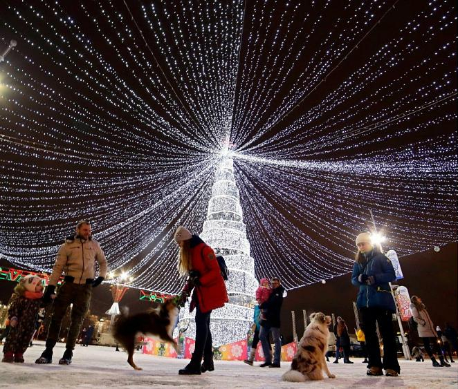 «Старость — это когда Новый год не праздник, а дедлайн». Как Байнет встречал год Свиньи