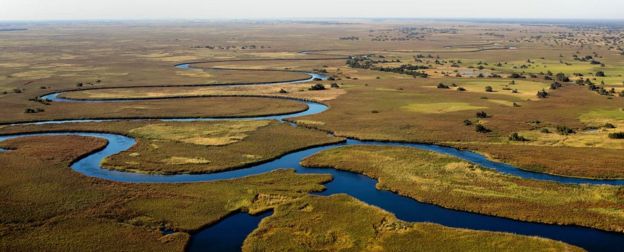 Не заразна ли болезнь Альцгеймера и можно ли насытиться запахом