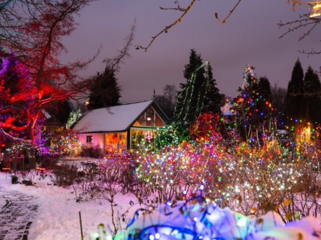 Вам и не снилось. Смотрите, как пенсионер из Латвии украшает свой дом и сад к праздникам