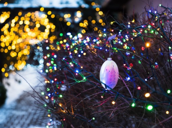 Вам и не снилось. Смотрите, как пенсионер из Латвии украшает свой дом и сад к праздникам