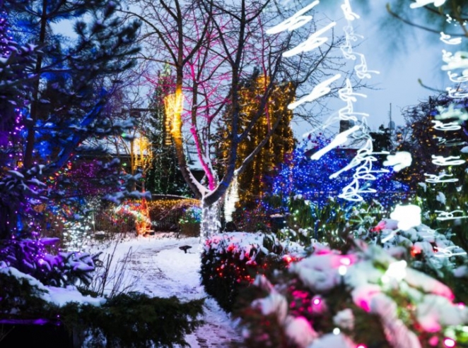 Вам и не снилось. Смотрите, как пенсионер из Латвии украшает свой дом и сад к праздникам