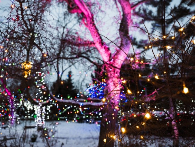 Вам и не снилось. Смотрите, как пенсионер из Латвии украшает свой дом и сад к праздникам