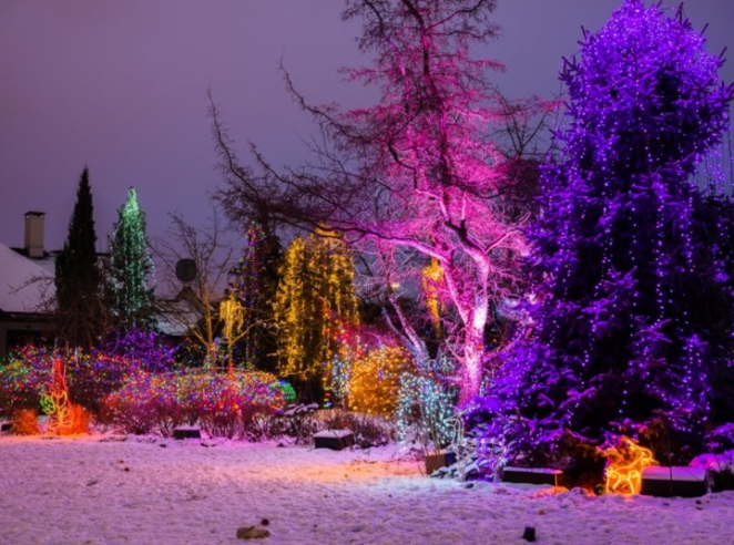 Вам и не снилось. Смотрите, как пенсионер из Латвии украшает свой дом и сад к праздникам