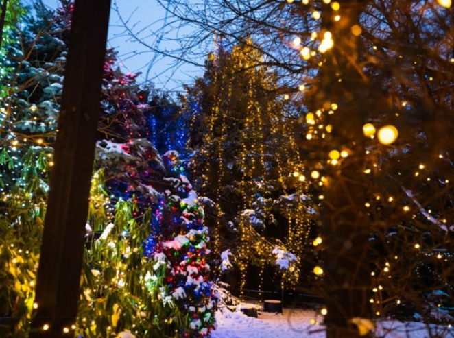 Вам и не снилось. Смотрите, как пенсионер из Латвии украшает свой дом и сад к праздникам