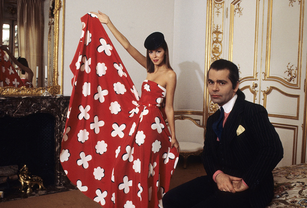 Вероятной наследницей состояния Лагерфельда оказалась кошка Вероятной наследницей состояния Лагерфельда оказалась кошка