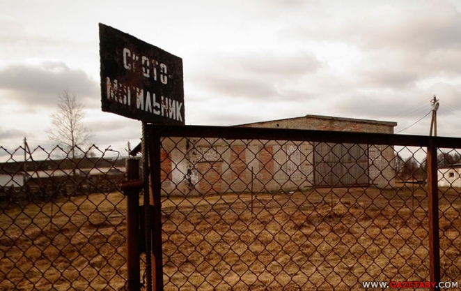 "Прирезали 666 свиней и закопали вблизи деревни"