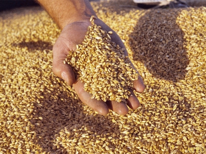 Гостеприимная Чехия и недооцененная Румыния: от советских связей к  инновационному обмену