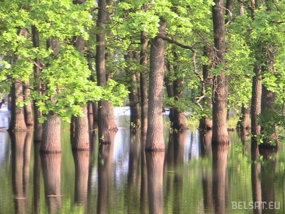 Как Национальный парк Припятский стал главным врагом полешуков?
