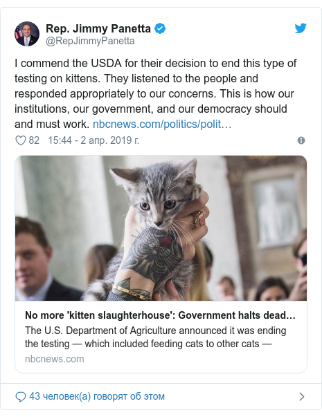 Опыты над животными: США закрывают "котобойню", где умертвили 3000 котят