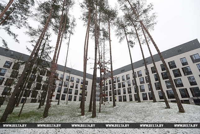 Румас раздал награды. Что с ними не так