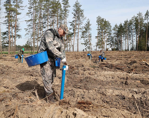 Фотофакт. Где и как трудились на субботнике президент и чиновники