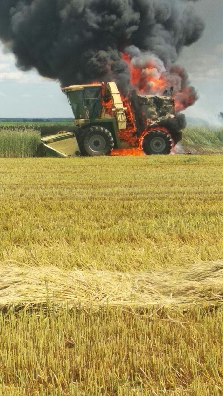 Видели как полыхает комбайн? В Рогачёве сегодня сгорел один, смотрите