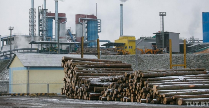 Fact-check: All wood-processing plants loss-making after $4bn-worth upgrade