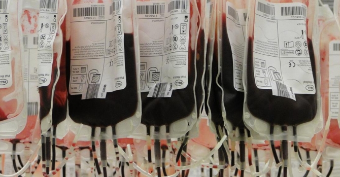 Minsk court sentences 13 blood donors for fraud