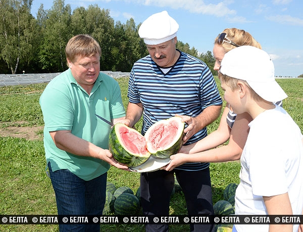 Лукашенко рассказал, что еще выращивает у себя на участке (кроме картошки и арбузов)