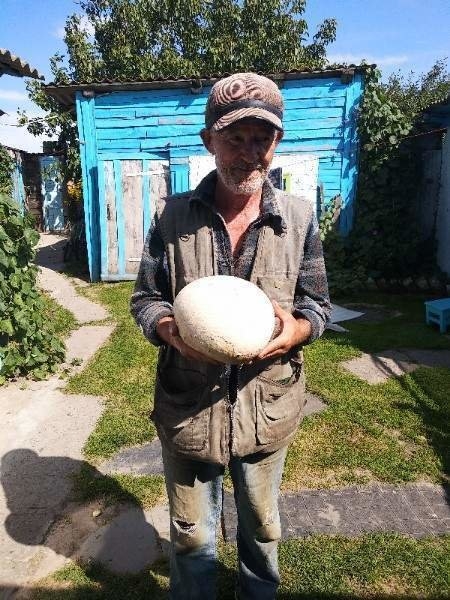 Грибник под Речицей нашел гигантский гриб. Но не всё так просто