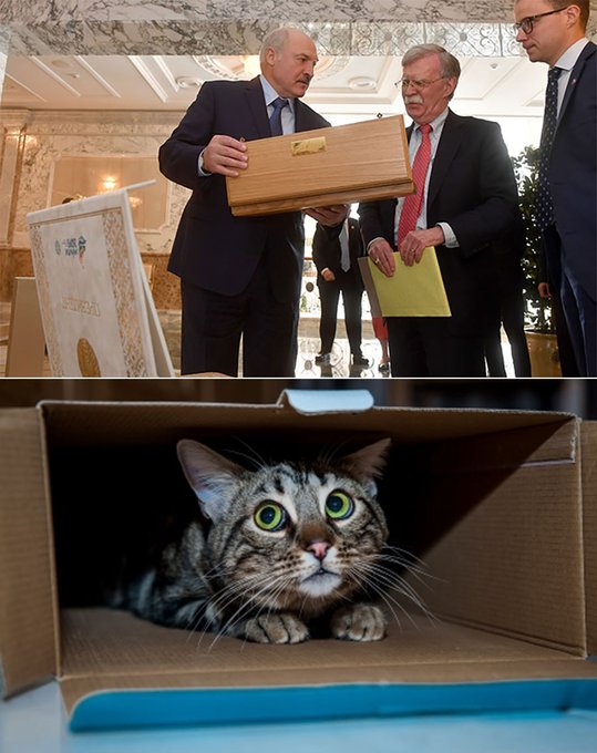 «Эффект усов Болтона в Минске: усы Пескова зашевелились, усы Лукашенко привстали». Байнет смеется