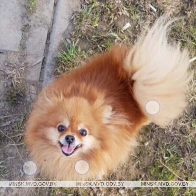 UD@F: Бабла много, есть «Тесла», телка на задне…