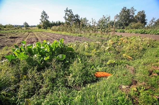 Призраки и летающие предметы: где находятся самые аномальные зоны Беларуси