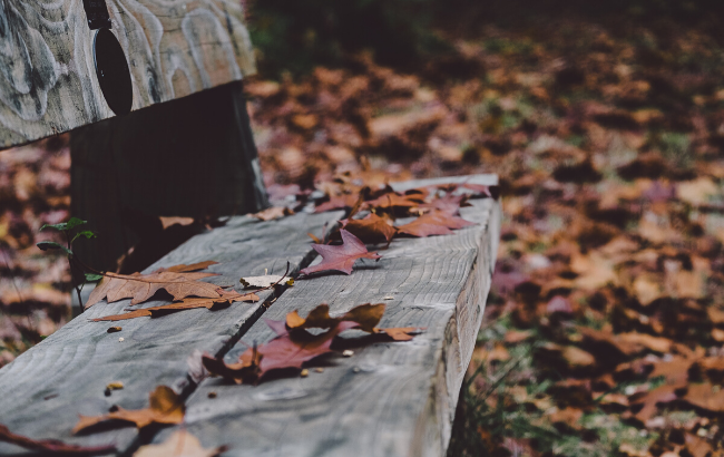 Второе бабье лето: синоптик удивил прогнозом на ноябрь