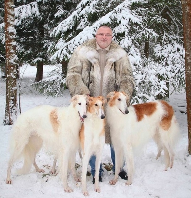 Изоляция Рунета: "Завтра мы проснемся в другой стране"