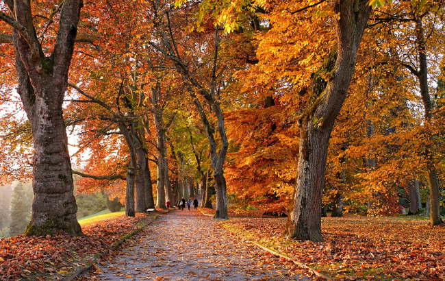 Будет третье "бабье лето": синоптики шокировали прогнозом погоды