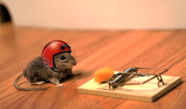 5 ловушек маркетологов, которые есть в любом магазине. Как их обходить?