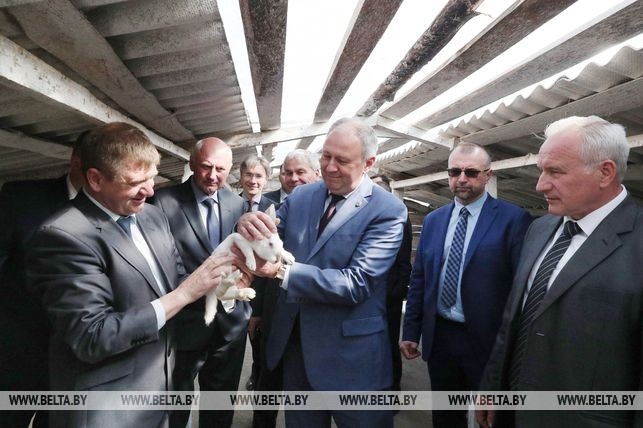 7 фактов о главе Докшицкого района, которого подозревают в случайном убийстве бизнесмена