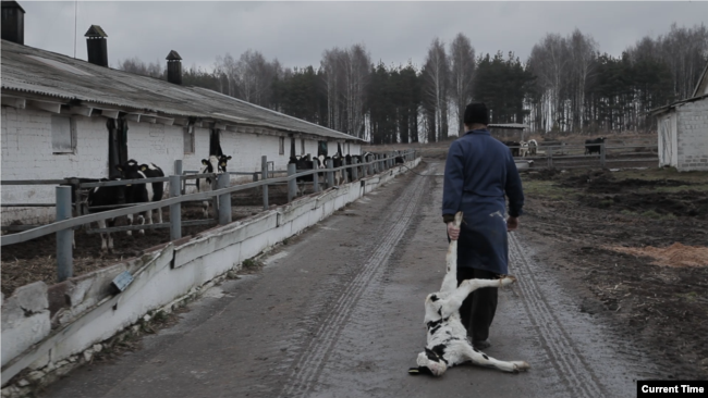 Хорошо у Александра Григорьевича на даче! Вот бы всей стране так!